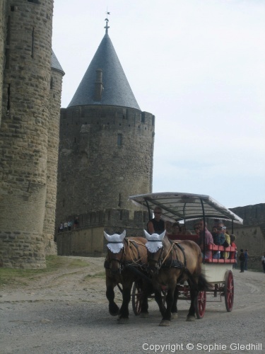 Carcassonne, S France